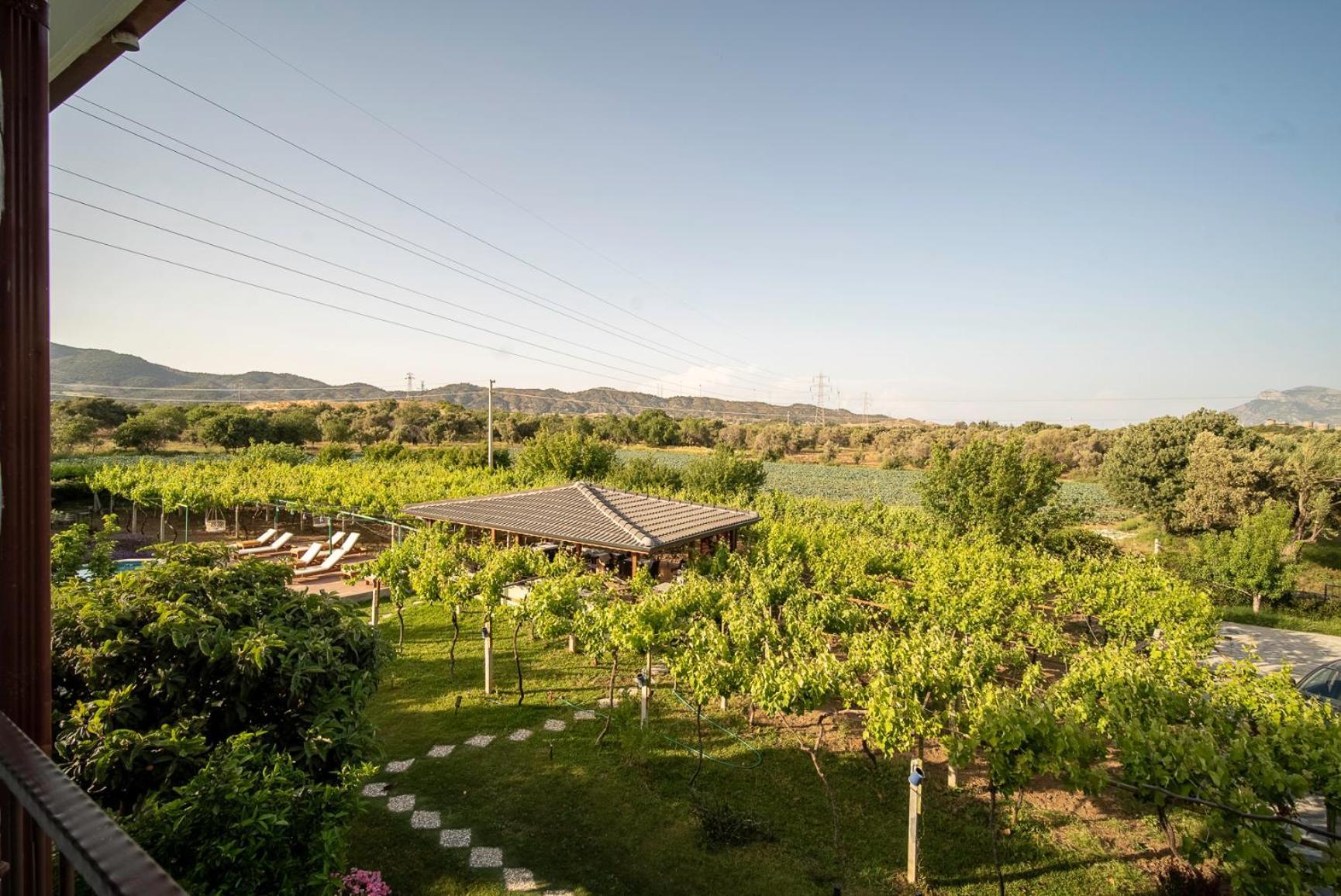 Grape Datca Hotel Kızlanköy Екстериор снимка