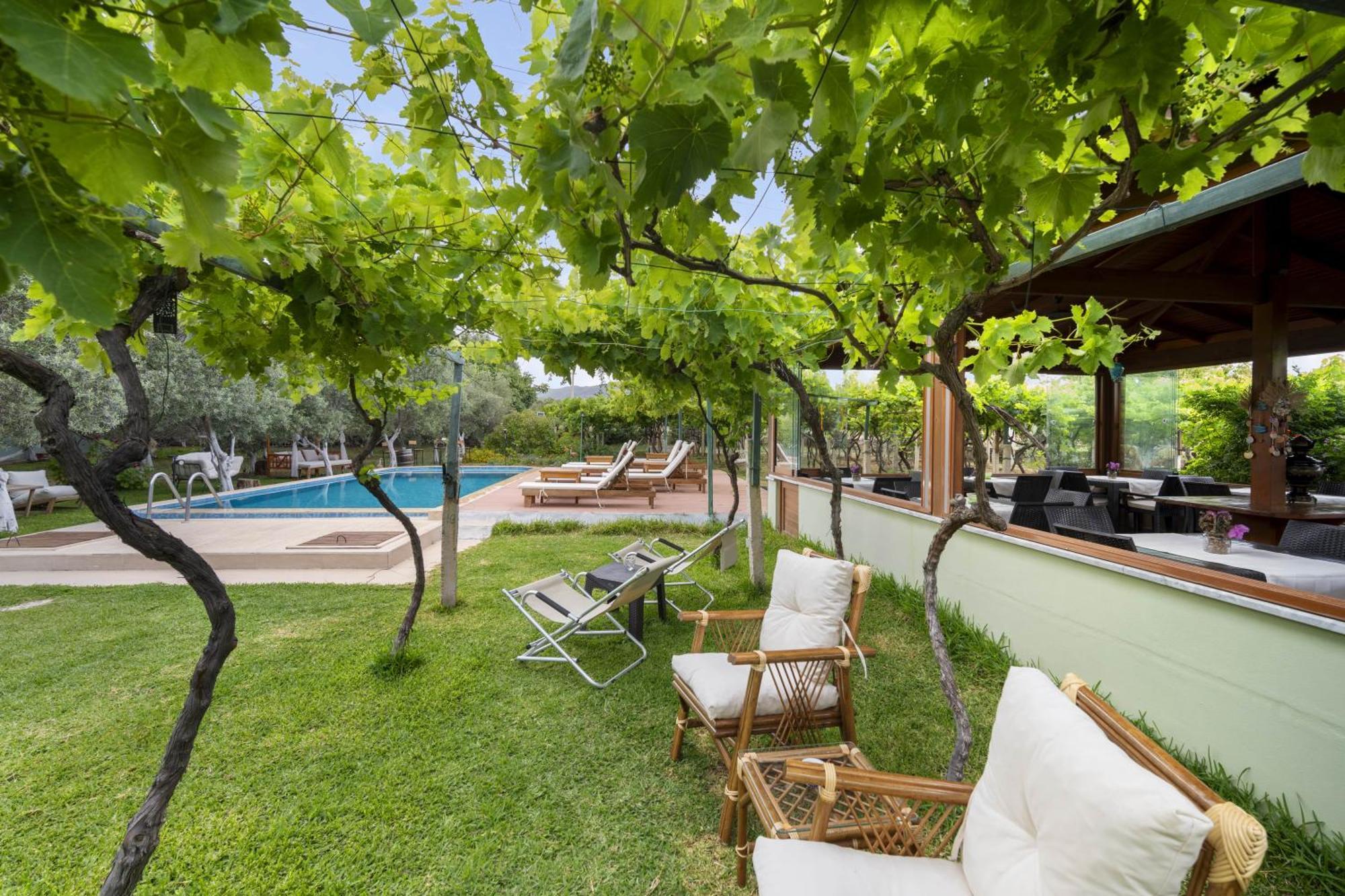 Grape Datca Hotel Kızlanköy Екстериор снимка